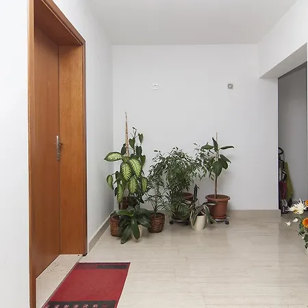 Ceja Near Sea Appartement