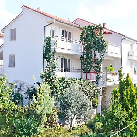 Ceja Near Sea