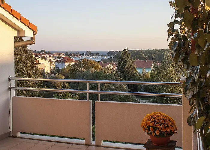 Ceja Near Sea